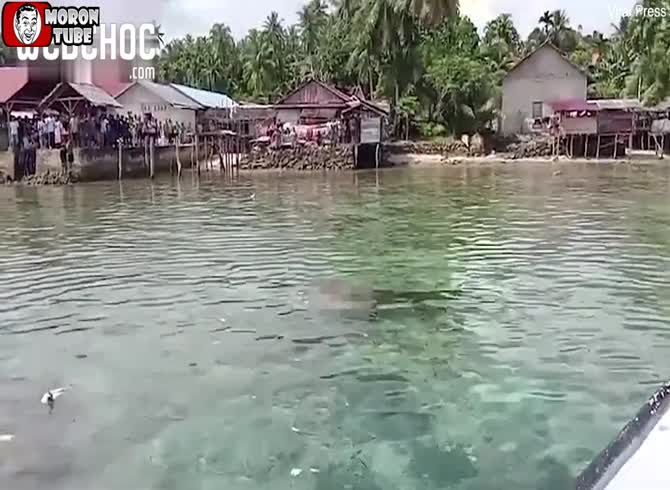 Video :A mother in Indonesia was murdered by a crocodile